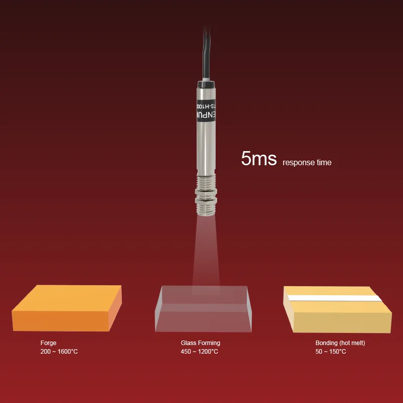 Produto SENPUM — detalhe